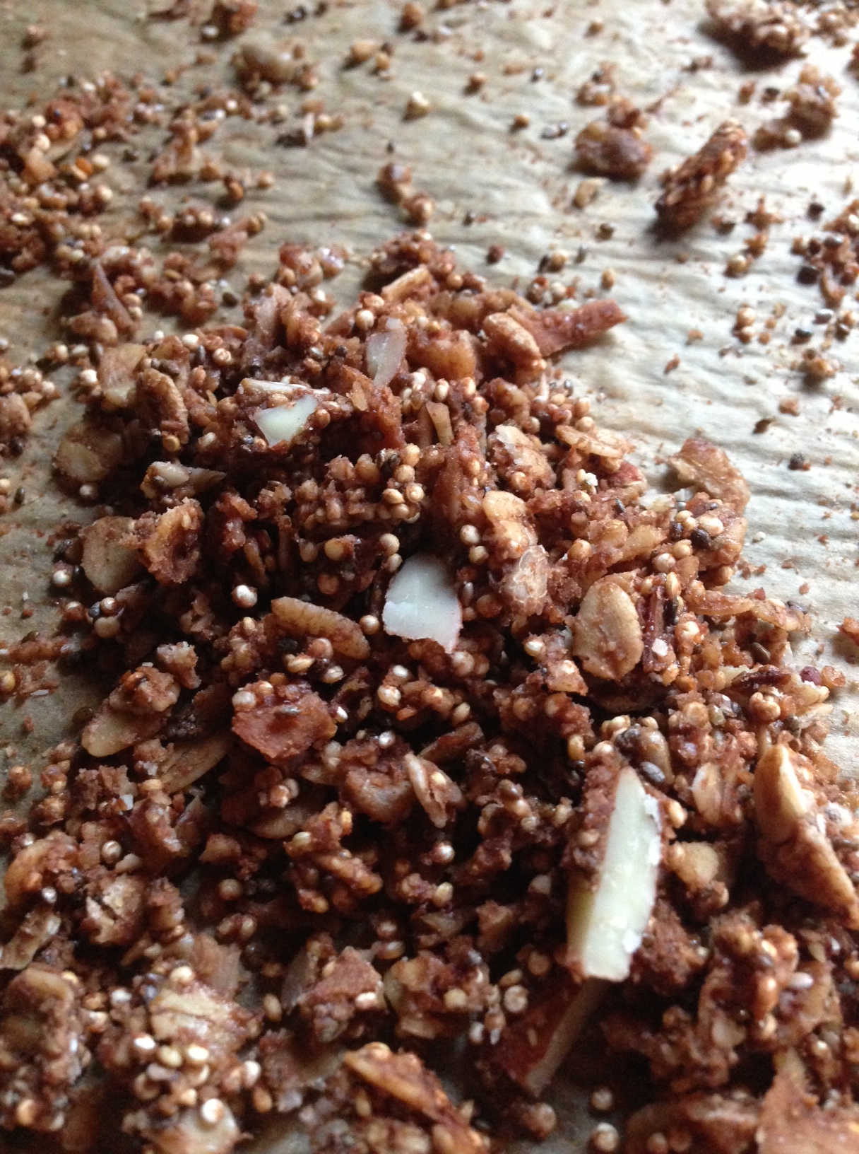 cocoa protein best granola recipe  coconut & bar  sweets bars summits granola protein snack:  trail